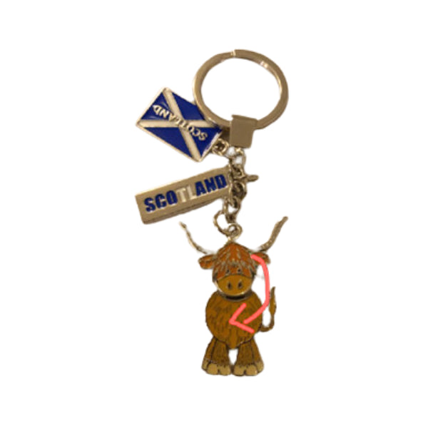 KEY RINGS | CTY-KYRNG-028