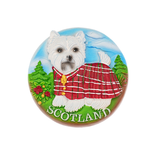 RESIN MAGNETS | CTY-RSMG-031