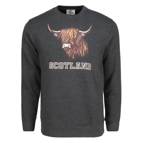 ADULT SWEATSHIRT | SP BULL FACE