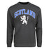ADULT SWEATSHIRT | SP SCT/LION