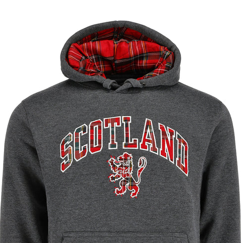 ADULT HOODIE | TRT APL SCT/LIN