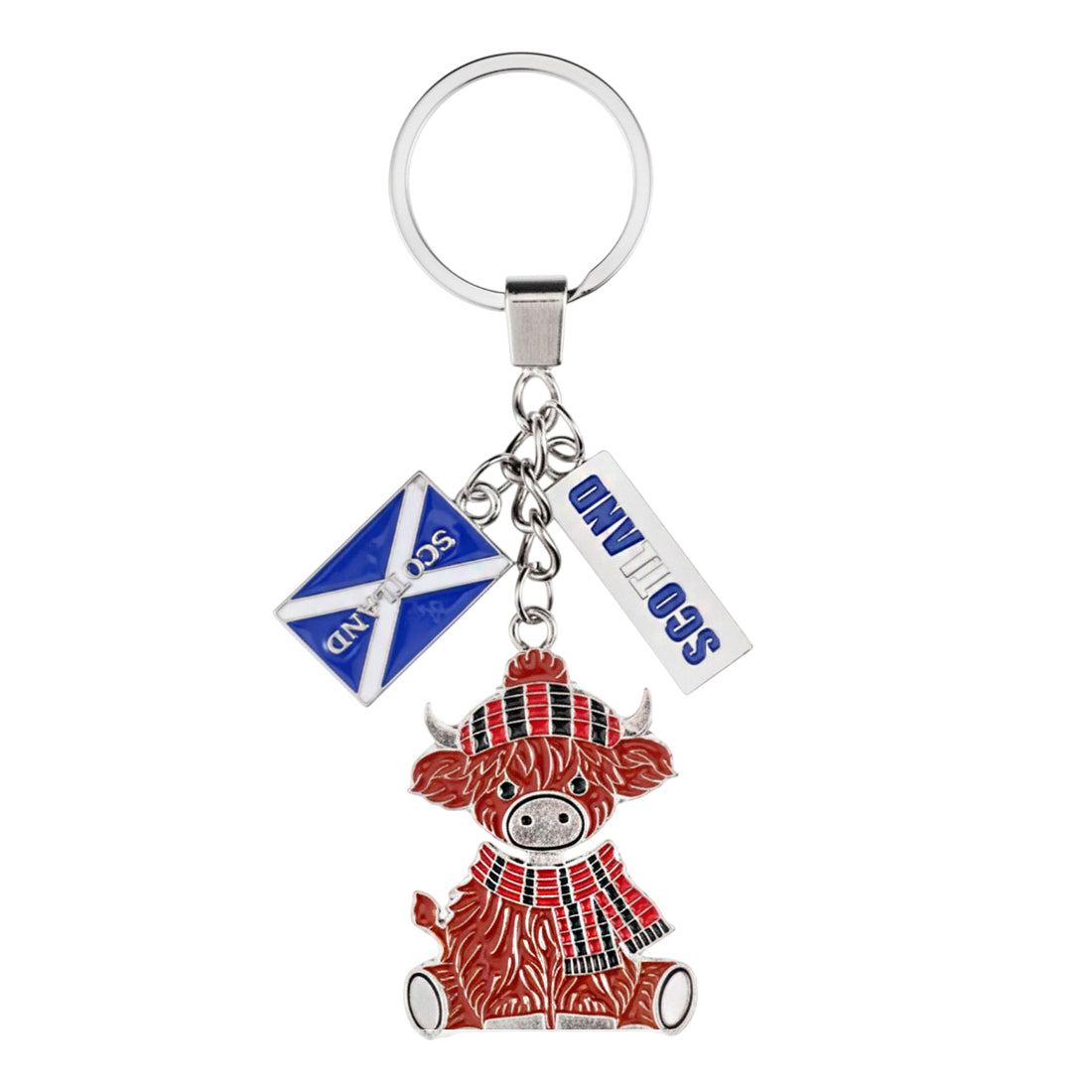 KEYRING | CTY-KYRNG-008