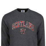 ADULT SWEATSHIRT | TRT APL SCT/LIN