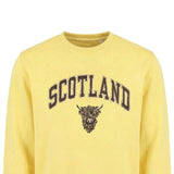 ADULT SWEATSHIRT | EMB SCT/BR COW 1