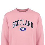 ADULT SWEATSHIRT | EMB SCT/FLG