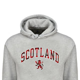 ADULT HOODIE | TRT APL SCT/LIN