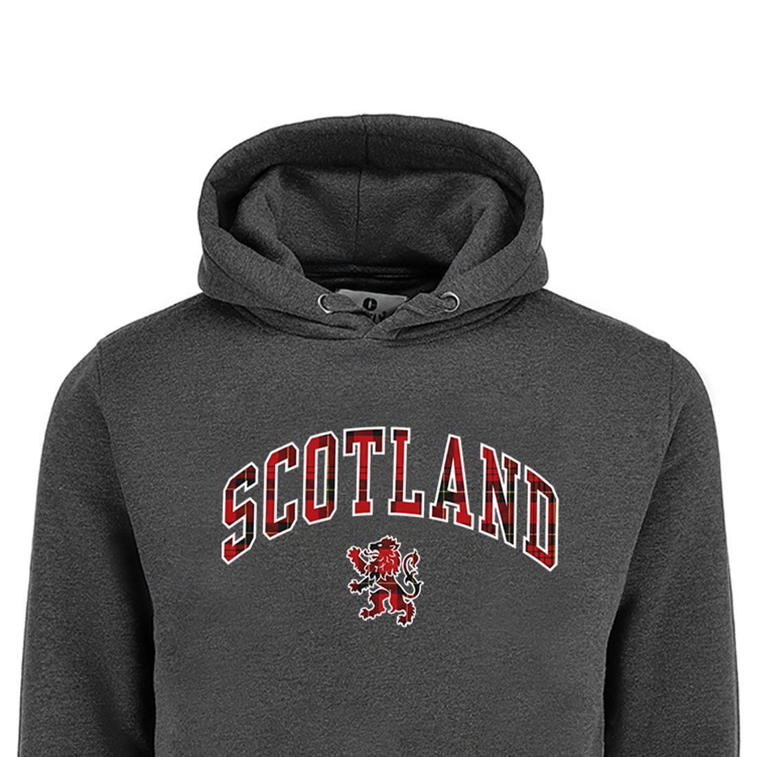 ADULT HOODIE | TRT APL SCT/LIN