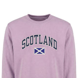 ADULT SWEATSHIRT | EMB SCT/FLG