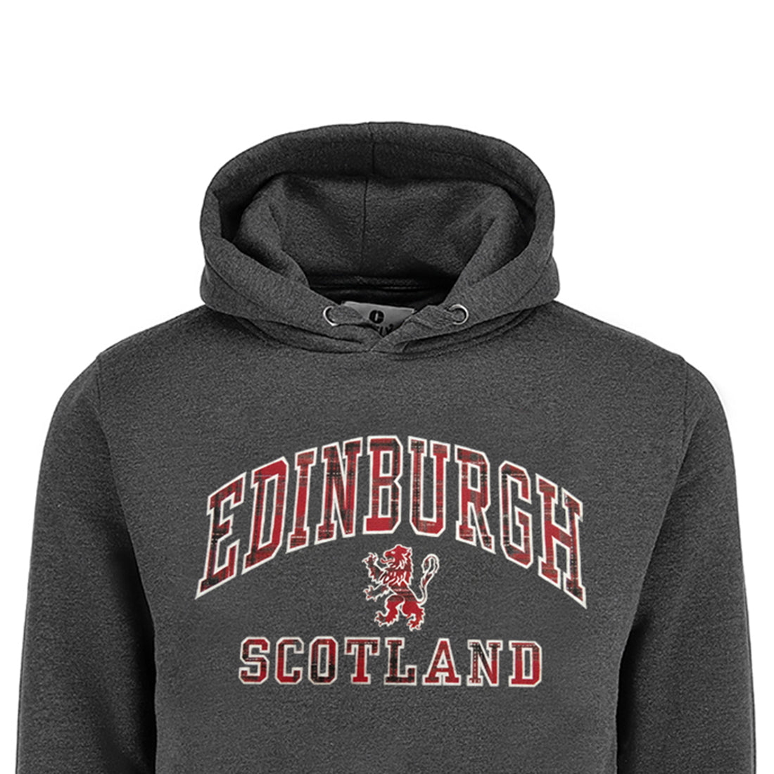 ADULT HOODIE | TRT APL EDN/LIN/SCT