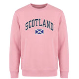 ADULT SWEATSHIRT | EMB SCT/FLG