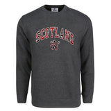 ADULT SWEATSHIRT | TRT APL SCT/LIN