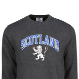 ADULT SWEATSHIRT | SP SCT/LION
