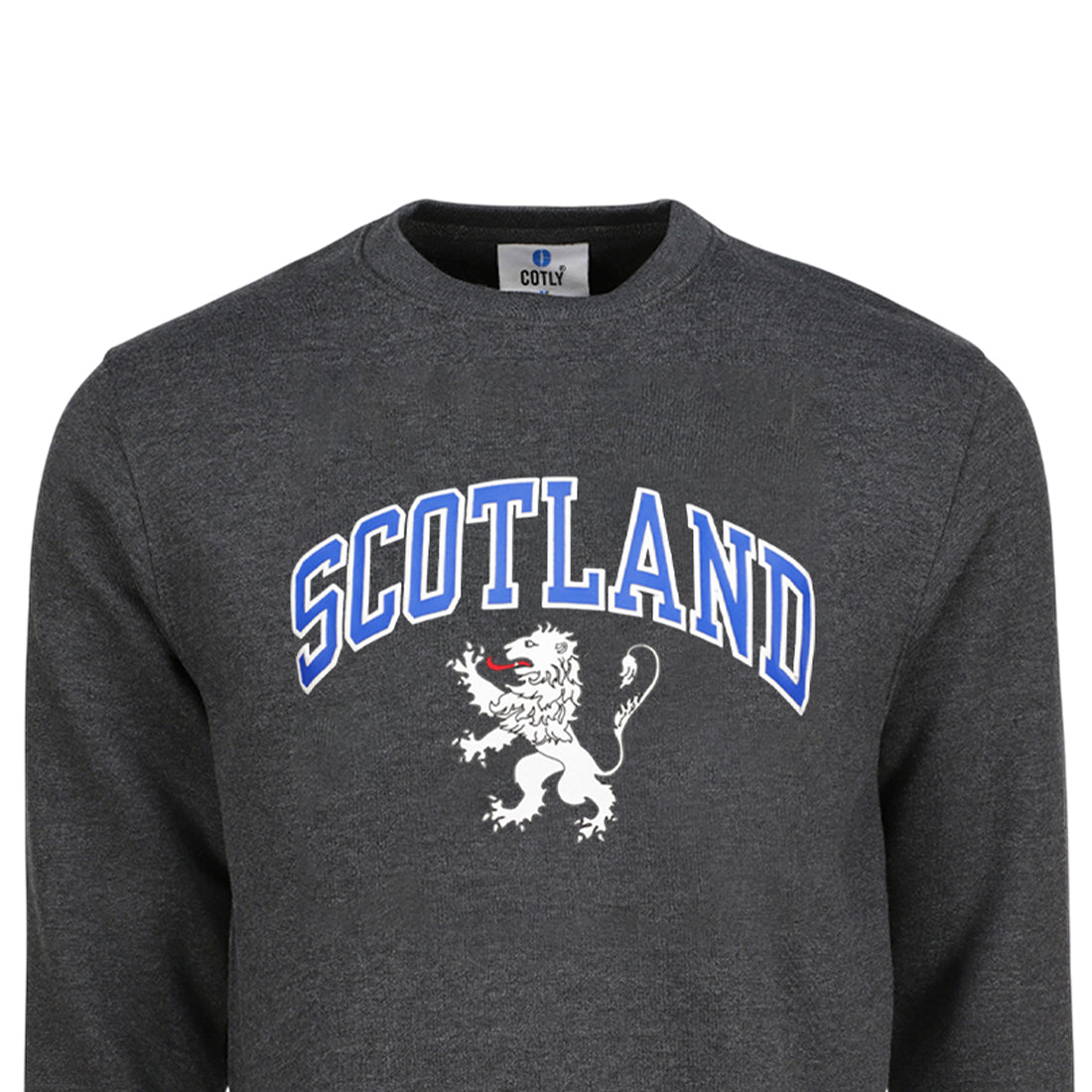 ADULT SWEATSHIRT | SP SCT/LION